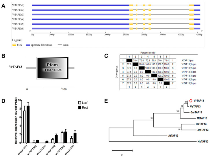 Figure 15