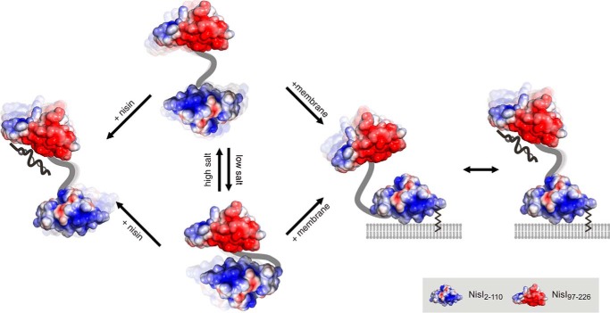 FIGURE 11.