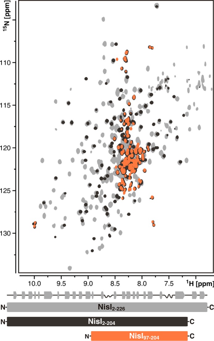 FIGURE 10.