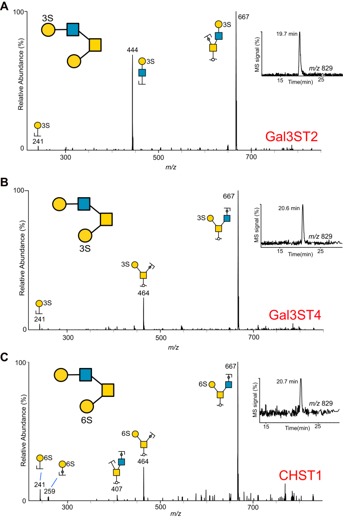 Fig. 7