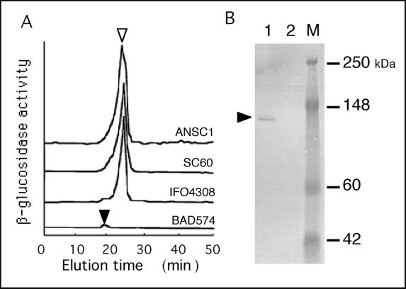 FIG. 8