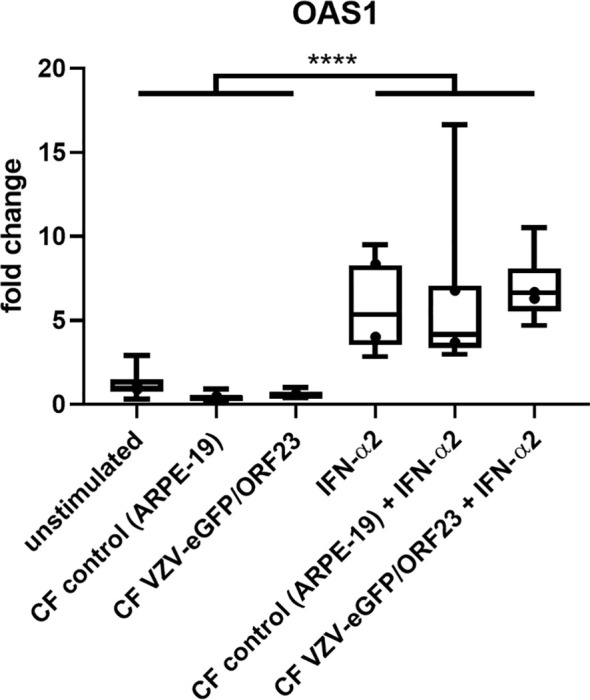 Figure 5