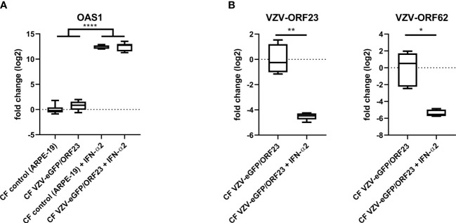 Figure 2