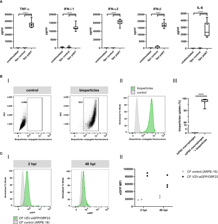 Figure 4