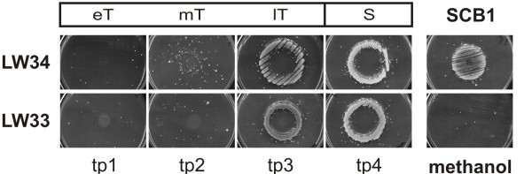 Figure 6 