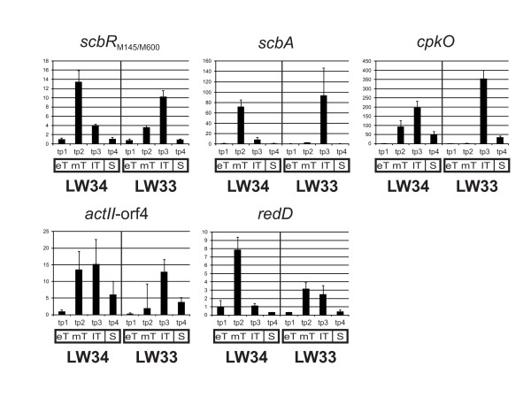 Figure 7 