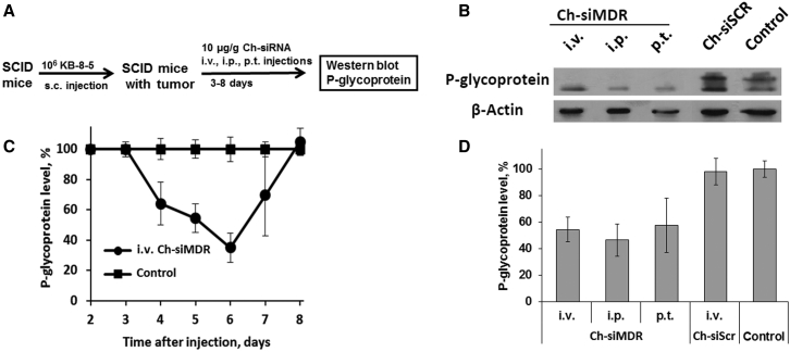 Figure 6