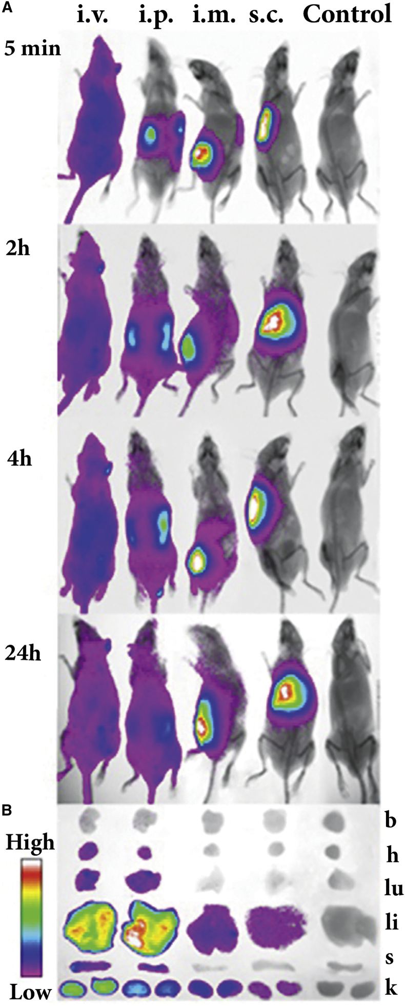 Figure 2