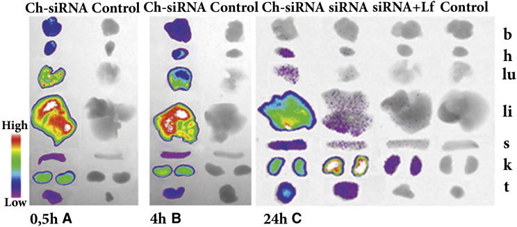 Figure 3