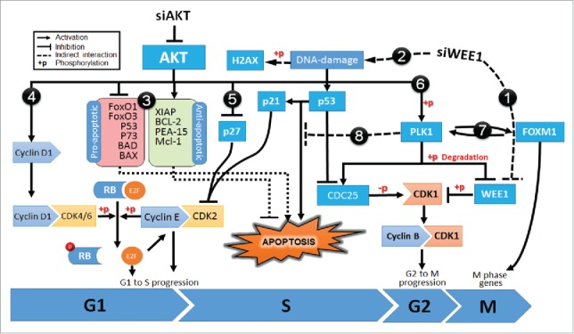 Figure 5.