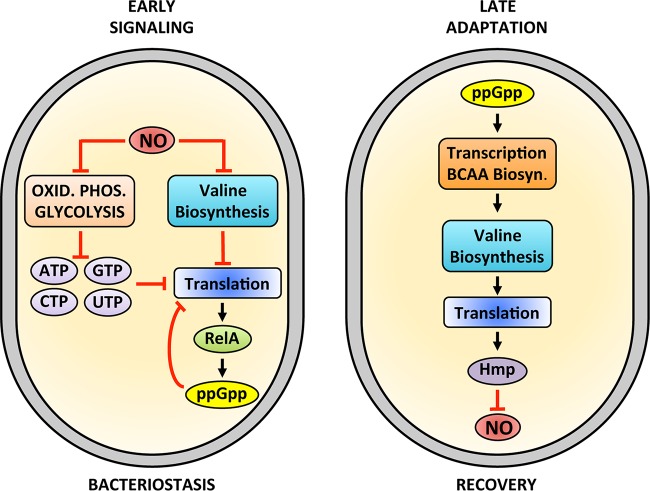 FIG 6 