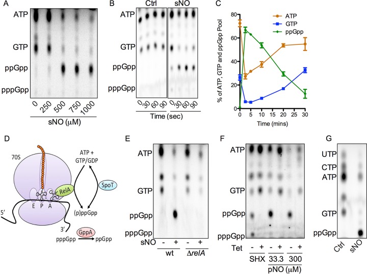 FIG 1 