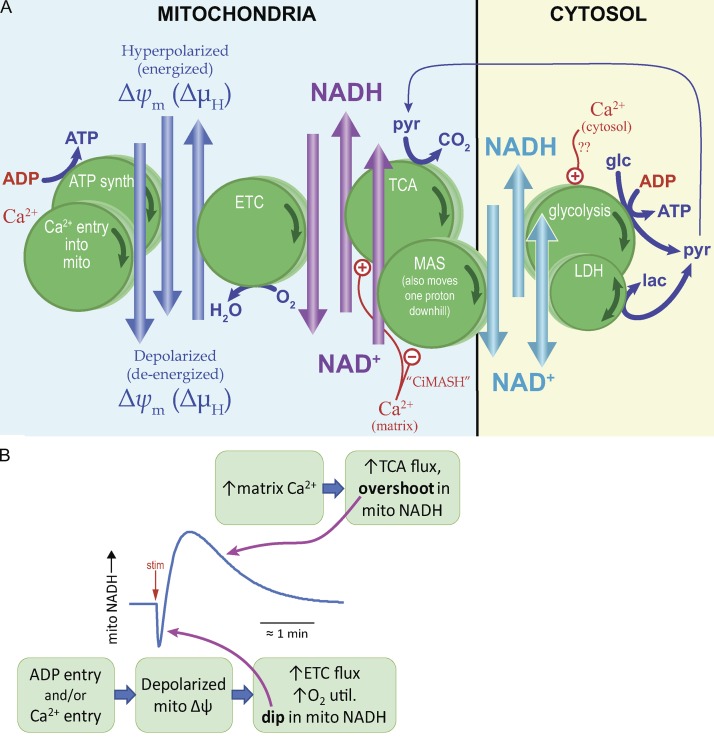 Figure 2.