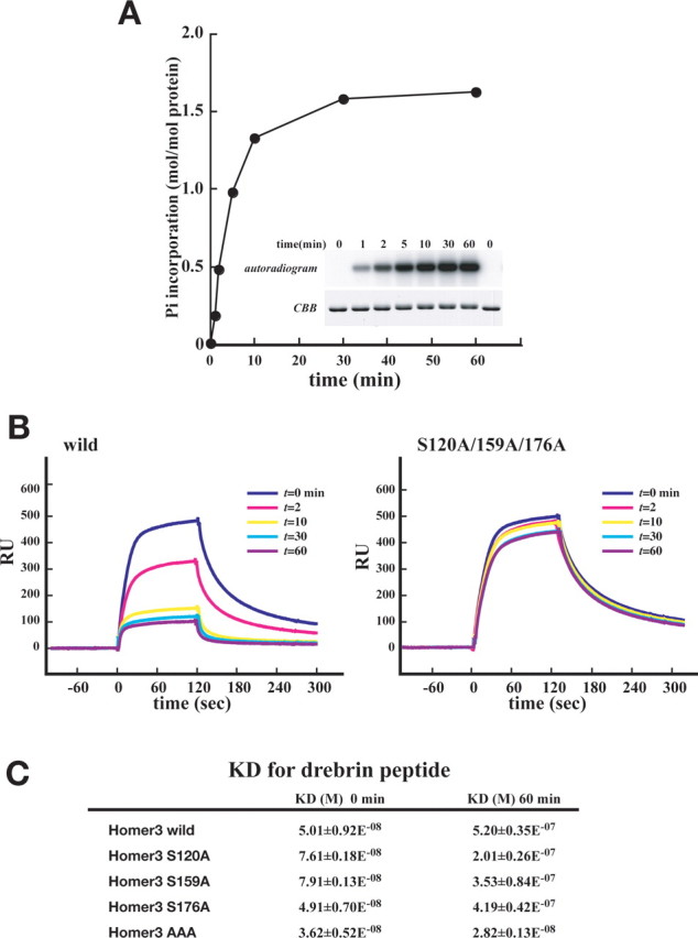 Figure 10.