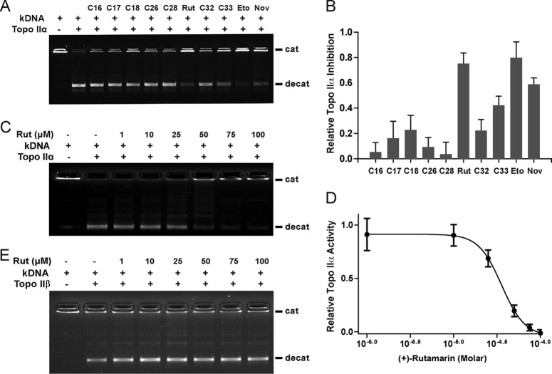 FIG 6