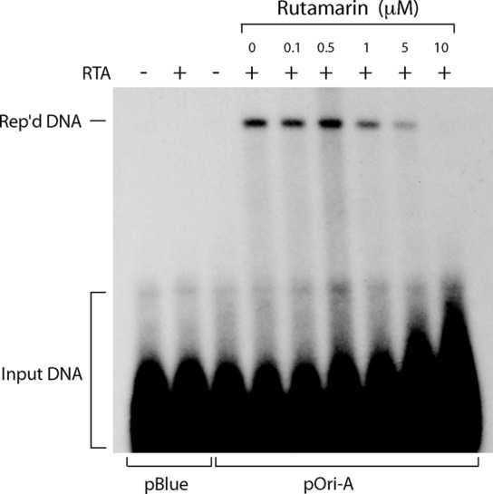 FIG 5