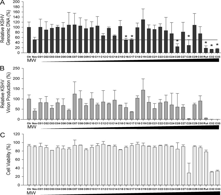 FIG 1