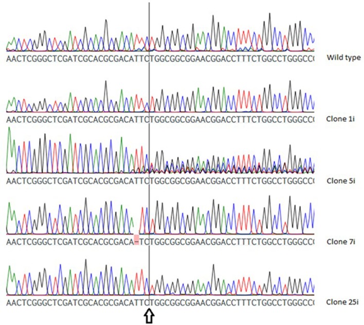 FIGURE 3