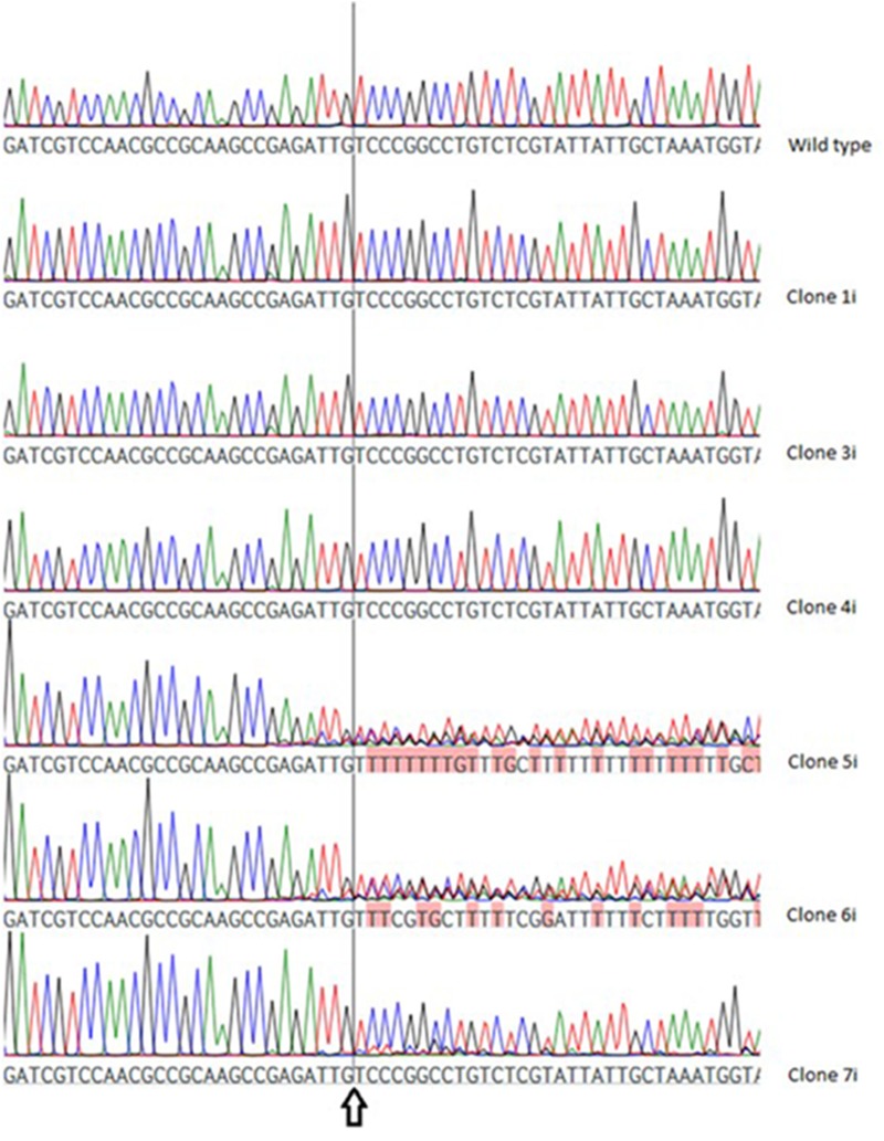 FIGURE 4