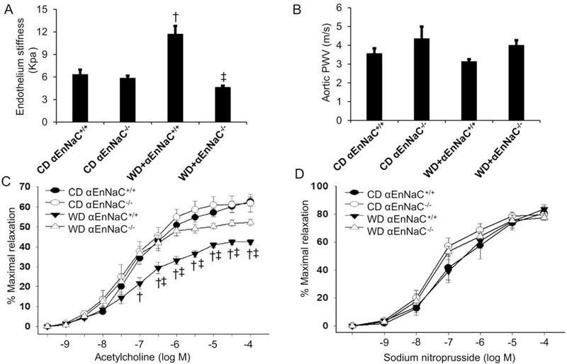 Fig 2.