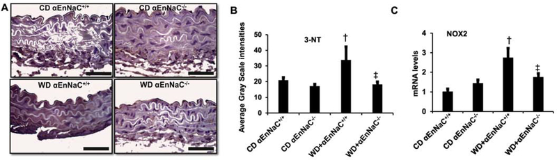 Fig 3.