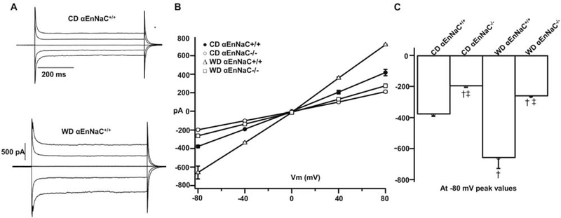 Fig 1.