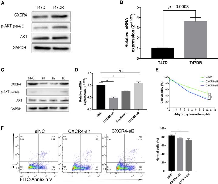 Figure 3