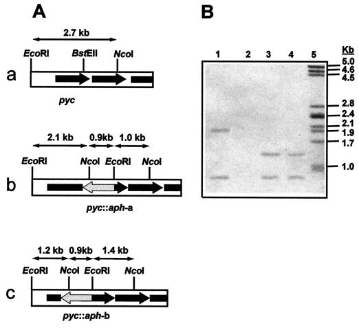 FIG. 3