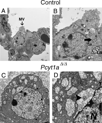 FIG. 5.