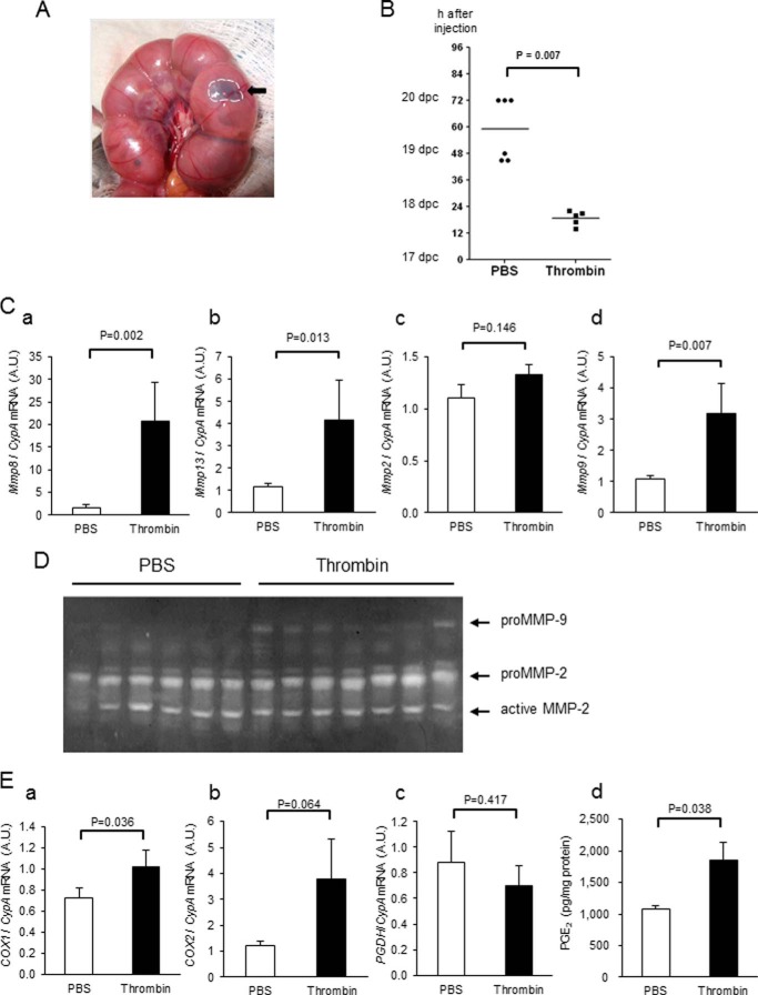 FIGURE 10.