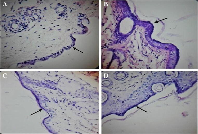 Fig. 9