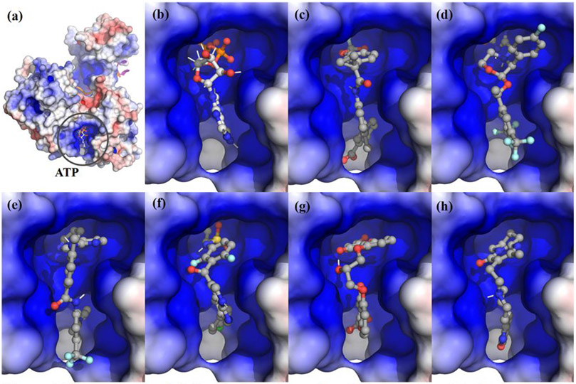 Figure 4.