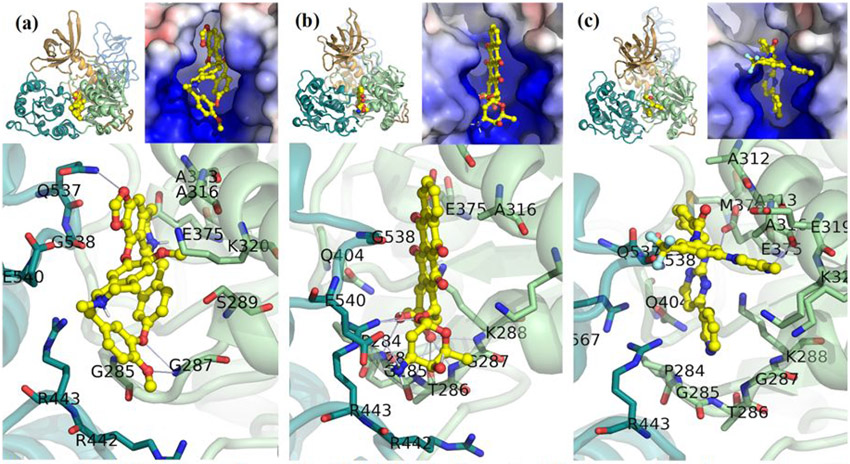 Figure 3.