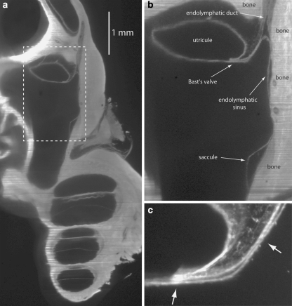 Fig. 2