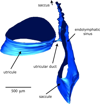 Fig. 5