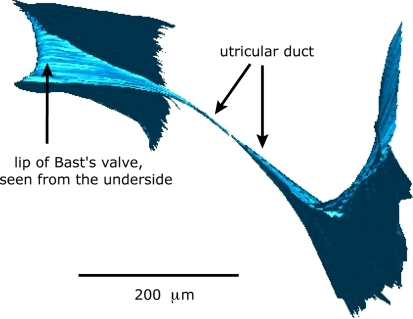 Fig. 4