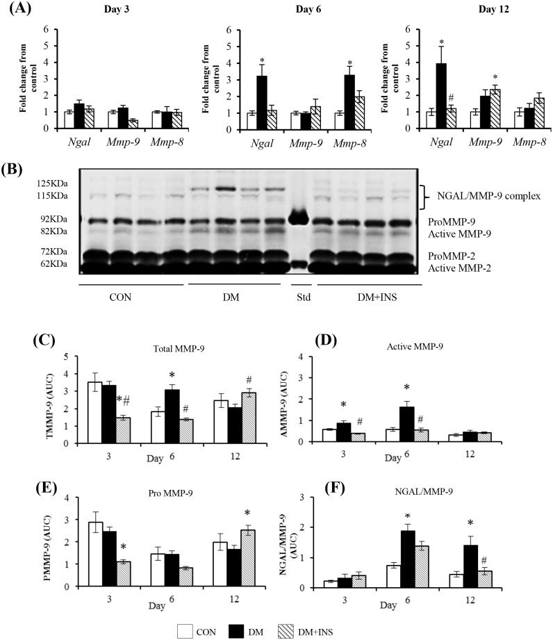 Fig 2