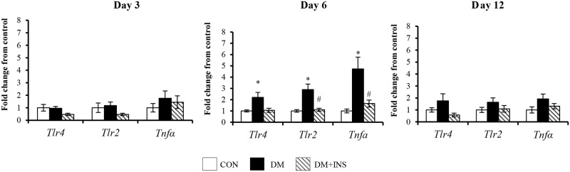 Fig 5