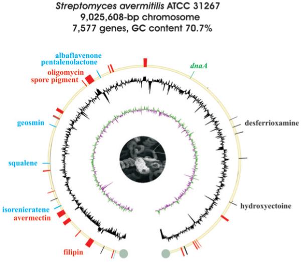 Fig. 3