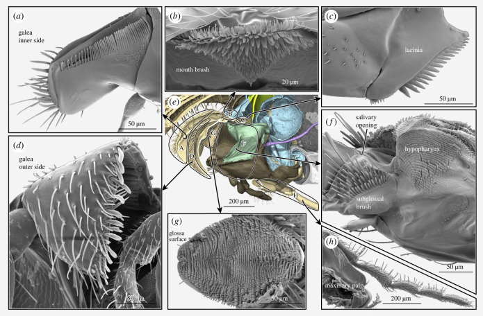 Figure 3. 