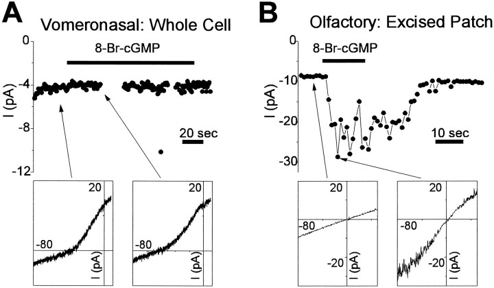 Fig. 9.