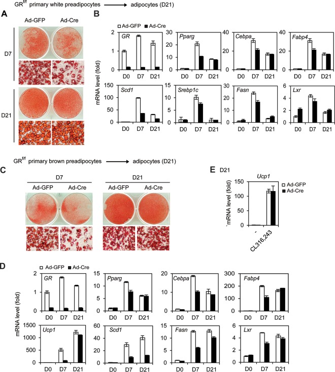 FIG 6