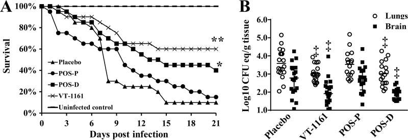 FIG 1