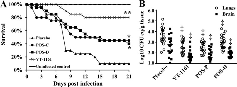 FIG 2