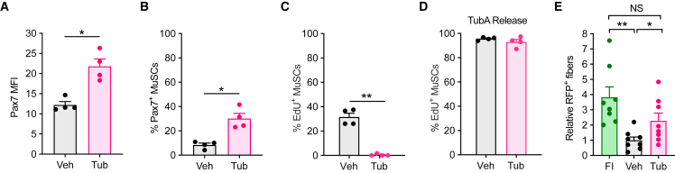 Figure 7