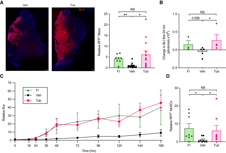 Figure 6