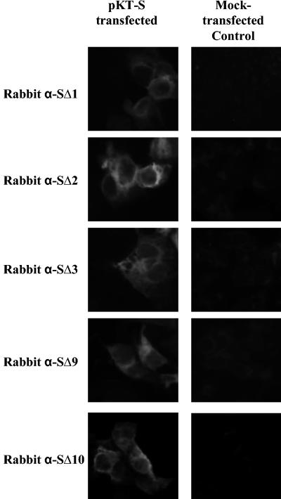 FIG. 5.