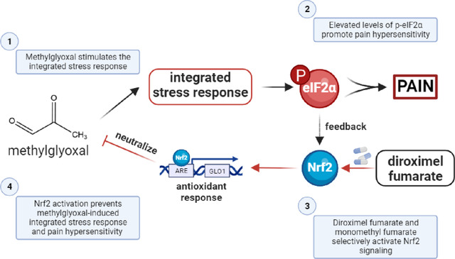 graphic file with name nihpp-2023.12.22.572877v1-f0001.jpg