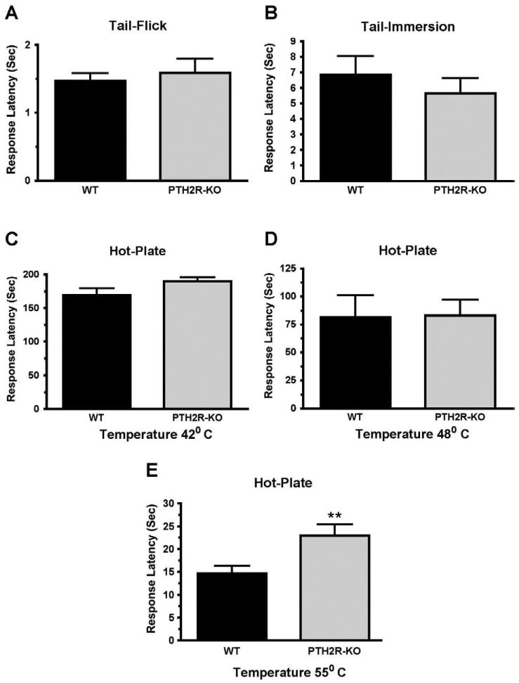 Fig. 12