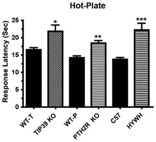 Fig. 17